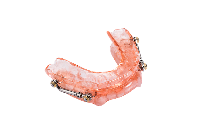 Appliance Angels: Your Guides to Appliance Recovery