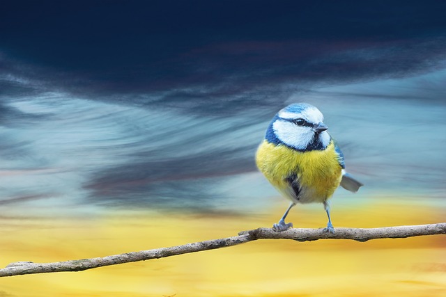 Liberty City Sonic Citadel: Philly's Sonic Fortress at Jamtown Jams