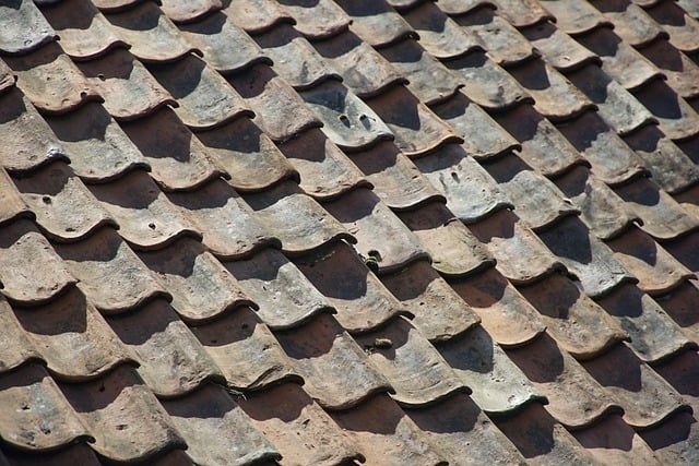 Shingle Saviors: Rescuing Your Roof from Disrepair