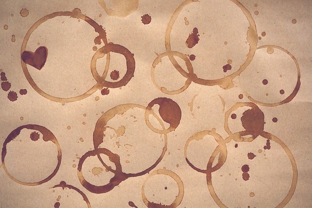 Stain Slayer Squad: Slaying Stains with Precision and Care